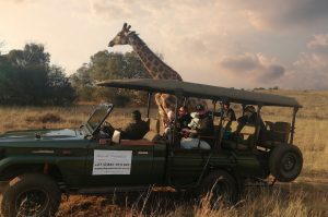 game drive