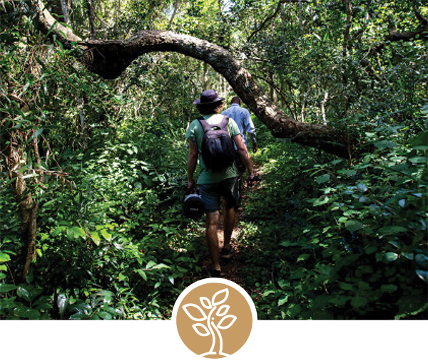 wilderness Dream Hotels Resorts