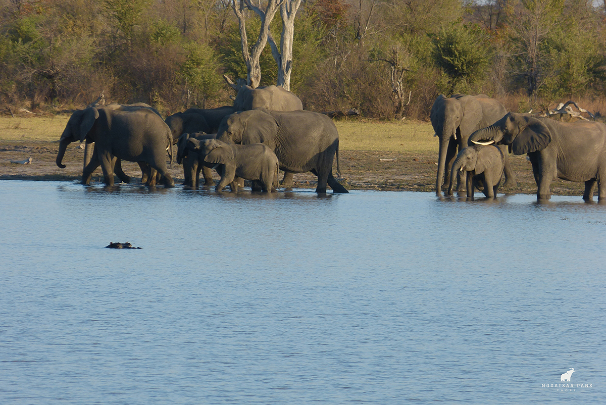 Landscape near Nogatsaa Campsite