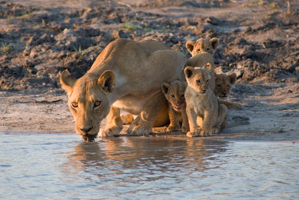 Landscape near Nogatsaa Campsite