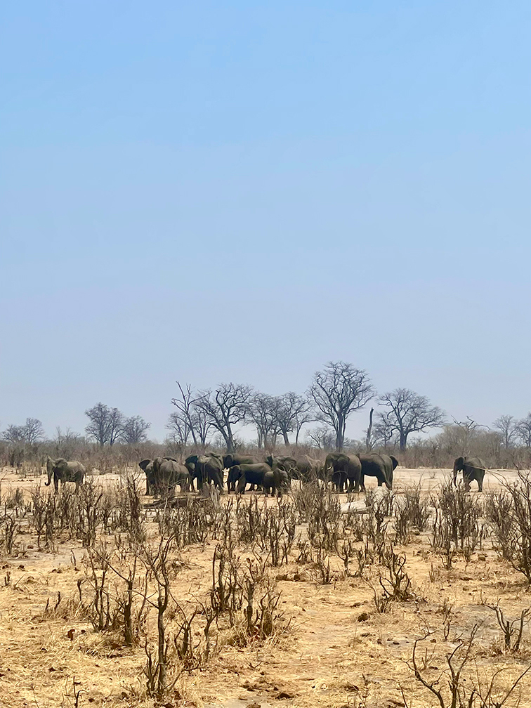 Campsite at Nogatsaa