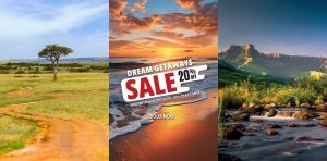 Composite travel ad with a savannah scene, a beach sale banner, and a canyon landscape—advertising 20% off dream getaways.